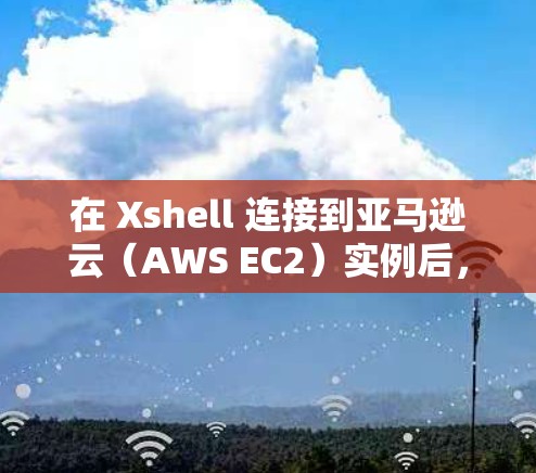 在 Xshell 连接到亚马逊云（AWS EC2）实例后，若无法实现科学上网（访问境外资源）通常是由于代理或网络配置问题。以下是逐步排查和解决方案