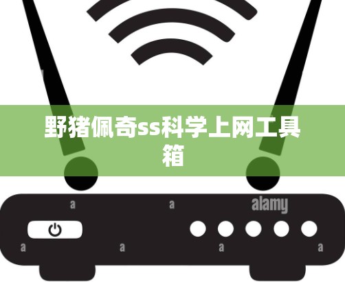 野猪佩奇ss科学上网工具箱