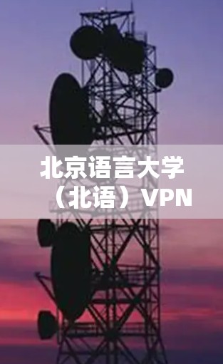 北京语言大学（北语）VPN服务详解，功能、使用与常见问题解答