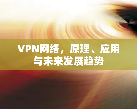 VPN网络，原理、应用与未来发展趋势