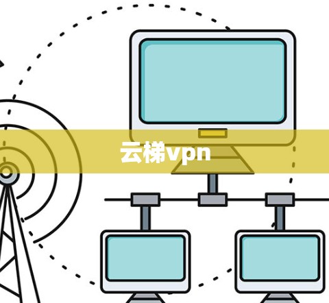 云梯vpn